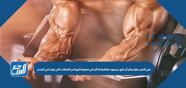 في الملساء توجد العضلات العضلات الملساء