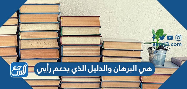 هي البرهان والدليل الذي يدعم رأيي