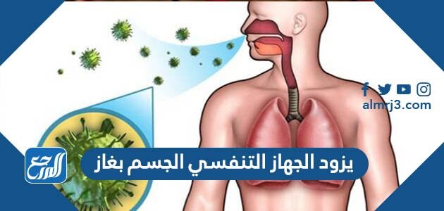 بغاز التنفسي الجسم يزود الجهاز جهاز التنفس