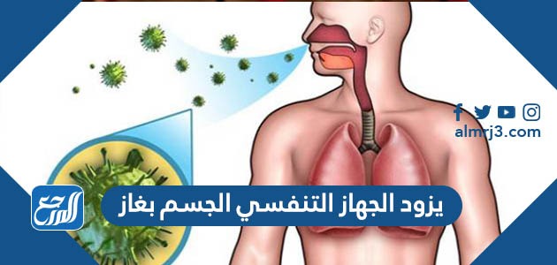 يزود الجهاز التنفسي الجسم بغاز