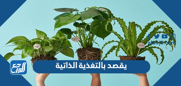 يقصد بالتغذية الذاتية