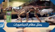 يمثل عظام الديناصورات