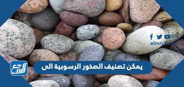 ماذا تسمى النباتات والحيوانات والصخور