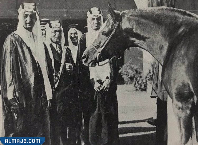 صورة عبيه فرس الملك عبدالعزيز