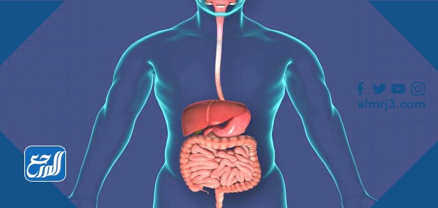 افضل دكتور جهاز هضمي في الرياض