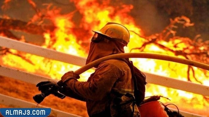 صور جميلة عن عناصر الدفاع المدني