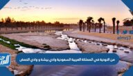 من الاودية في المملكة العربية السعودية وادي بيشة و وادي الحمض