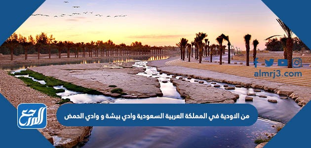 من الاودية في المملكة العربية السعودية وادي بيشة و وادي الحمض