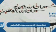 فضل سبحان الله وبحمده سبحان الله العظيم