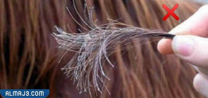 أخطاء الاعتناء بالشعر المصبوغ