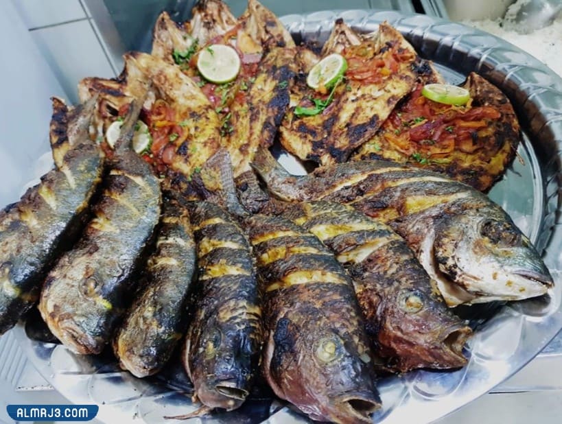 أسماك ريان للمأكولات البحرية