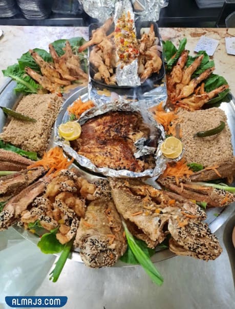 أسماك نوارة الإسكندرية