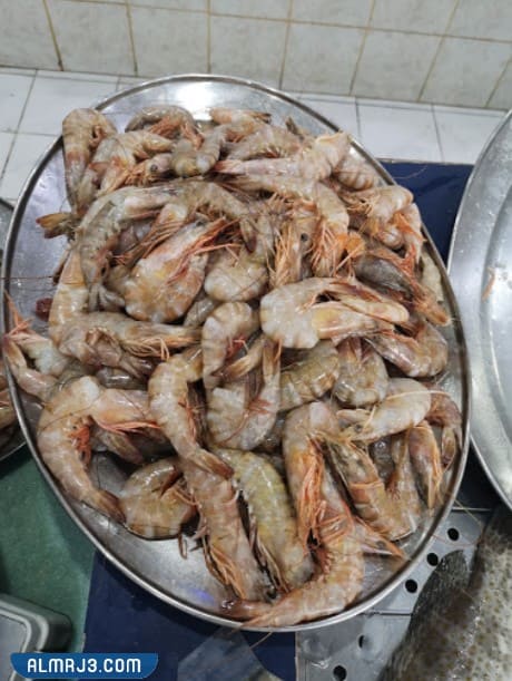 أصداف الجزر للأسماك