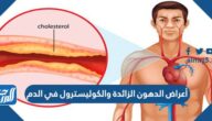 الغدة التي تسيطر على معظم النشاطات الحيوية في الجسم ؟