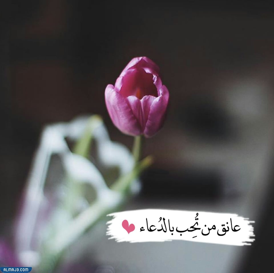 أقوى صور الحالات للواتس أب