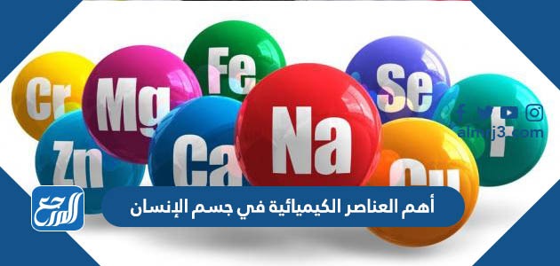أهم العناصر الكيميائية في جسم الإنسان