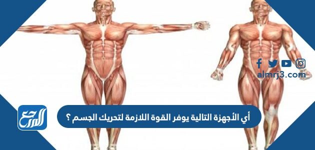 بالجسم جهازان هما اجهزة السيطرة من منتديات الكعبة