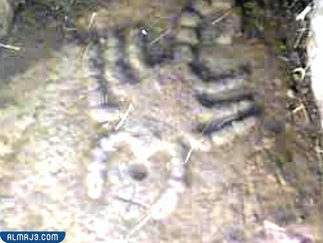 إشارة بارزة النحت