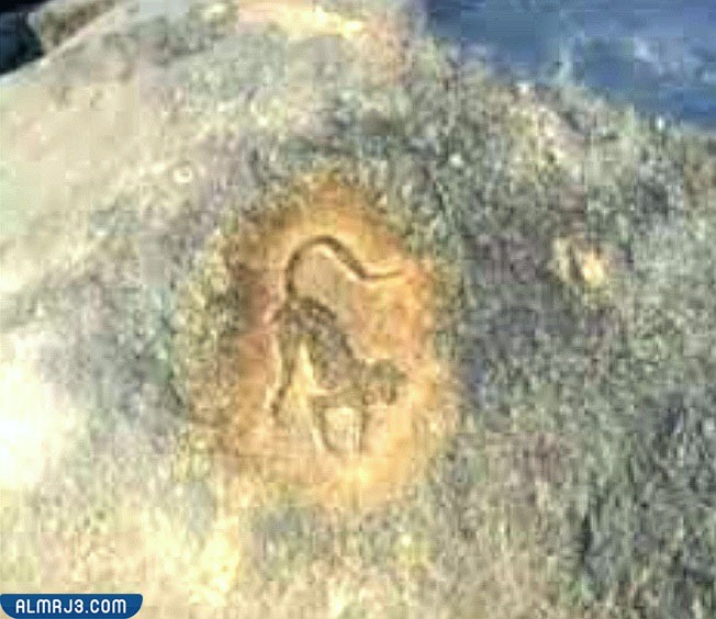 إشارة ثابتة