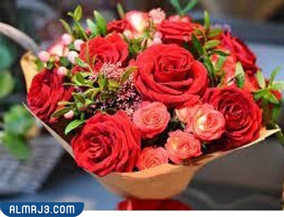 اجمَل وَرد طَبيعي في العَالم