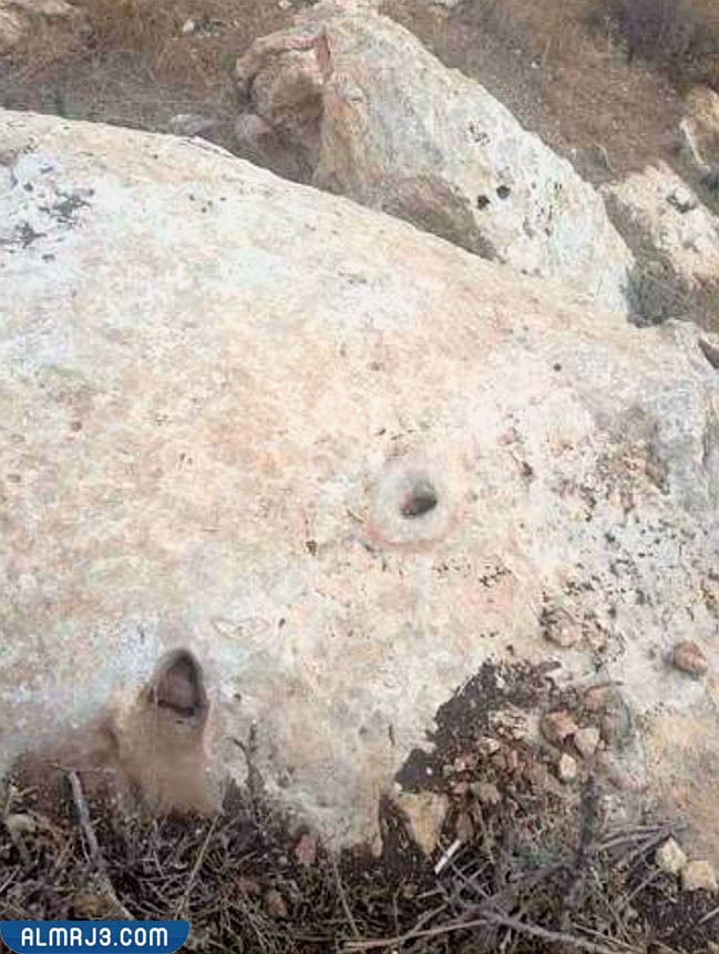 الإشارات التتابعية