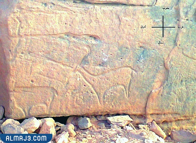 الإشارات المشيرة للهدف