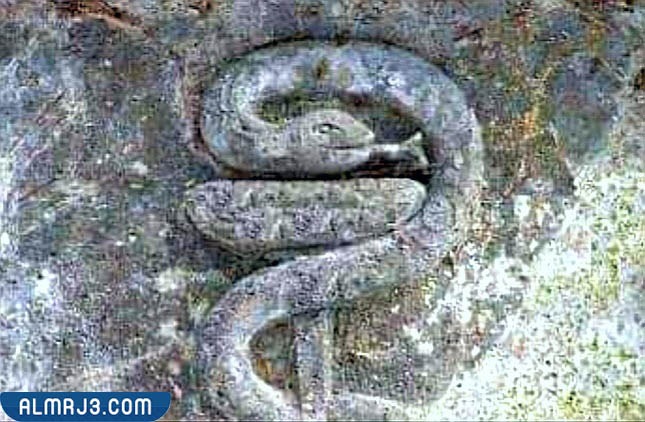 الإشارات الموجهة