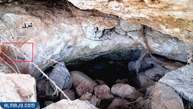 الإشارة الجامعة