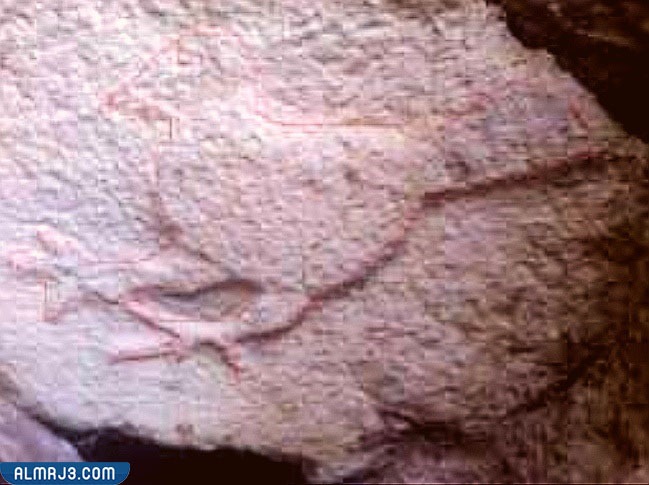 الإشارة الموجودة