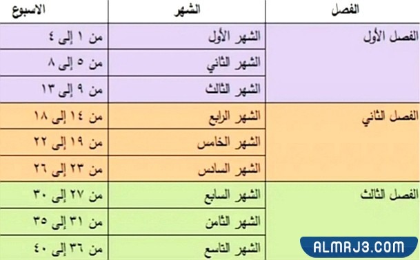 الاسبوع 35 من الحمل يعني اي شهر ؟