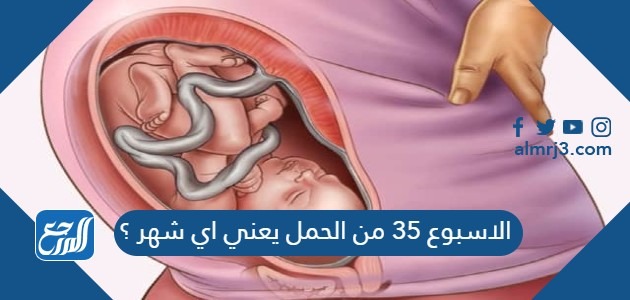 الاسبوع 35 من الحمل يعني اي شهر ؟