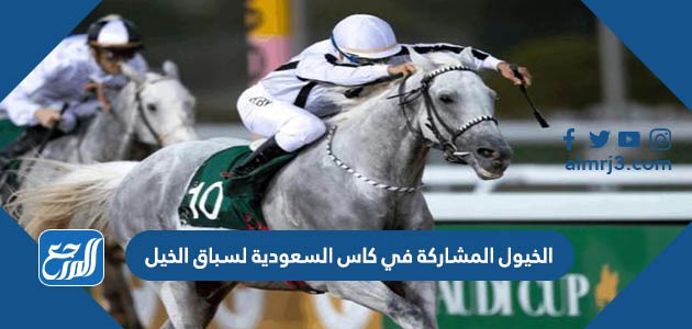 الخيول المشاركة في كاس السعودية لسباق الخيل