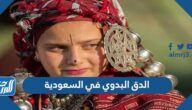 ما هو الدق البدوي في السعودية بالصور
