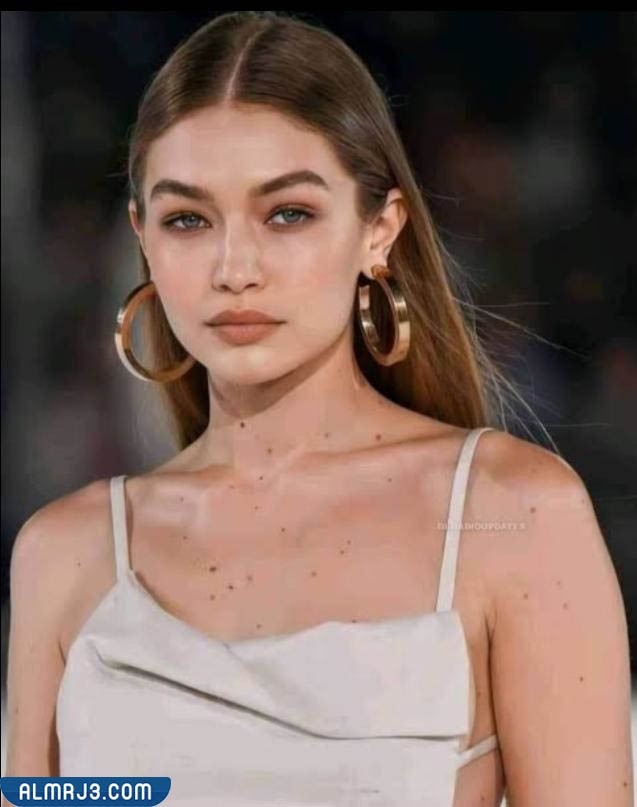 السيرة الذاتية لجيجي حديد