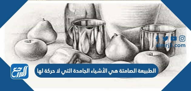 الطبيعة الصامتة هي الأشياء الجامدة التي لا حركة لها