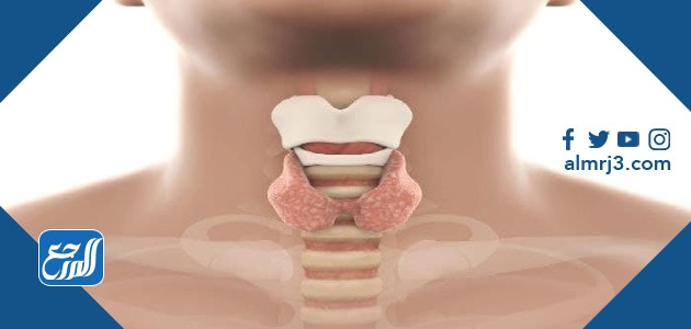 الغدة الدرقية