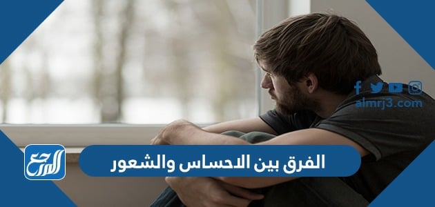 الفرق بين الاحساس والشعور