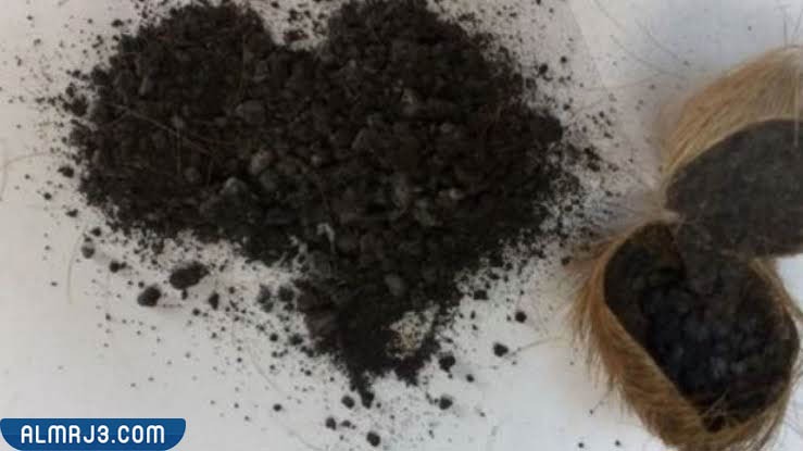 المسك الحيواني