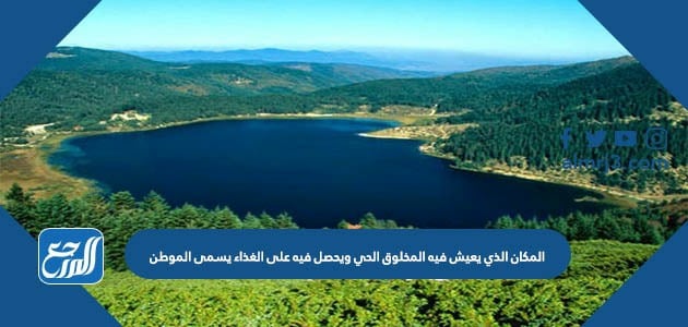 المكان الذي يعيش فيه المخلوق الحي ويحصل فيه على الغذاء يسمى الموطن