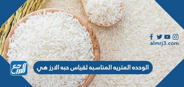 الوحده المتريه المناسبه لقياس حبه الارز هي