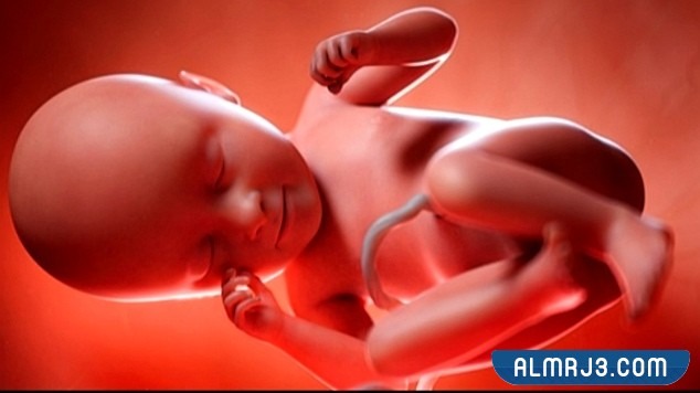 الولادة في الاسبوع الخامس والثلاثين من الحمل