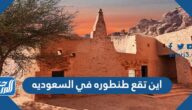 اين تقع طنطوره في السعوديه
