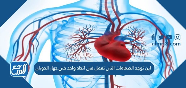 اين توجد الصمامات التي تعمل في اتجاه واحد في جهاز الدوران