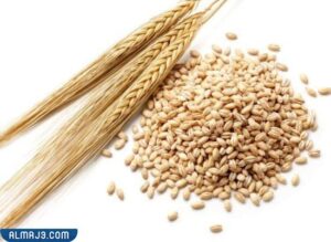 ايهما افضل لرجيم الشعير ام القمح