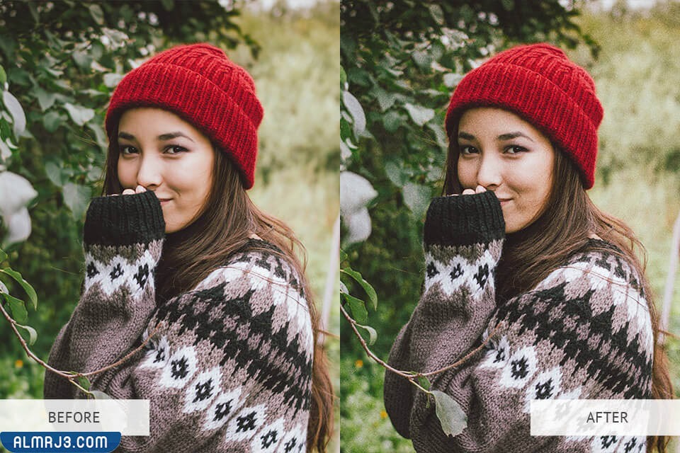 إضافة الحبوب