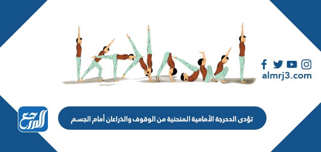 تؤدى الدحرجة الأمامية المنحنية من الوقوف والذراعان أمام الجسم