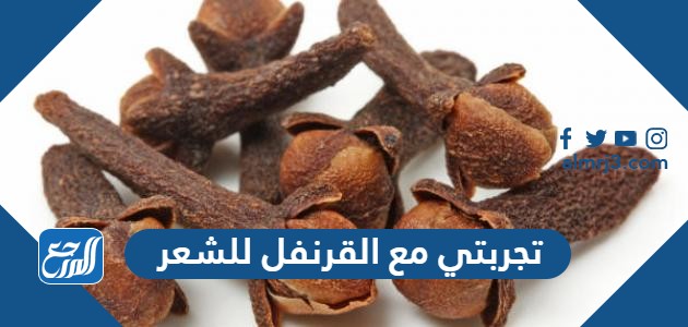 تجربتي مع القرنفل للشعر