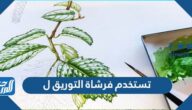 تستخدم فرشاة التوريق ل