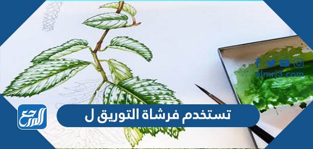 ل تستخدم فرشاة التوريق تستخدم فرشاة