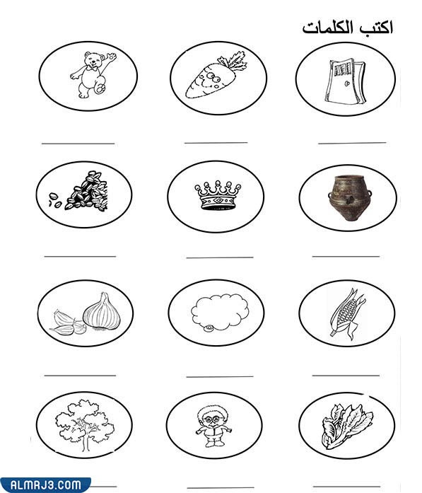 تمرين اكتب الكلمات اسفل كل صورة